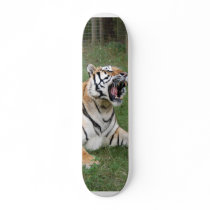 khan-n-china006 skateboards