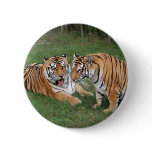 khan-n-china009 pinback buttons