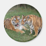 khan-n-china009 fridge magnet