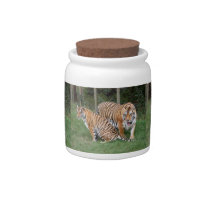 khan-n-china010 candy jars