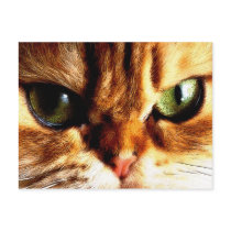 khat postcards by REDINARD khat postcards