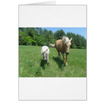 Khrysta, the Morgan horse, and Cash, the mini hors Cards