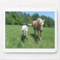 Khrysta, the Morgan horse, and Cash, the mini hors Mousepad