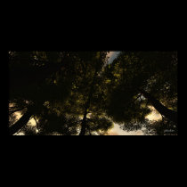 Kick Back In The Grass - Extreme posters