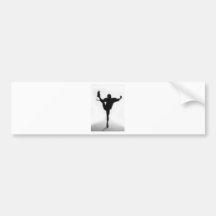 Kicker Bumper Sticker