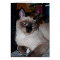Kicking Back Greeting Card