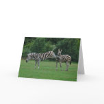Kicking zebra greeting card