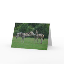 Kicking zebra greeting card