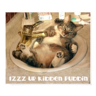 Kidden Puddin print