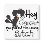 Kidney Cancer 2 Hey You Picked The Wrong Bitch magnets