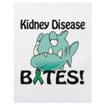 Kidney Disease BITES Flyer