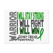 Kidney Disease Warrior Post Card