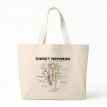 Kidney Nephron Bags