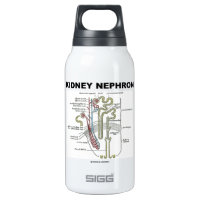 Kidney Nephron (Gray's Anatomy Textbook) 10 Oz Insulated SIGG Thermos Water Bottle