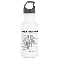 Kidney Nephron (Gray's Anatomy Textbook) 18oz Water Bottle