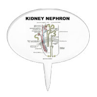 Kidney Nephron (Gray's Anatomy Textbook) Cake Pick