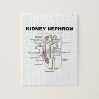 Kidney Nephron (Gray's Anatomy Textbook) Jigsaw Puzzles