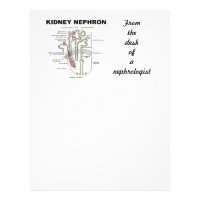 Kidney Nephron (Gray's Anatomy Textbook) Letterhead