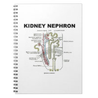 Kidney Nephron (Gray's Anatomy Textbook) Note Books