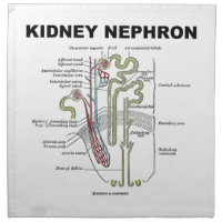 Kidney Nephron (Gray's Anatomy Textbook) Printed Napkin