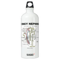 Kidney Nephron (Gray's Anatomy Textbook) SIGG Traveler 1.0L Water Bottle