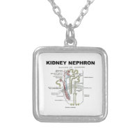 Kidney Nephron (Gray's Anatomy Textbook) Square Pendant Necklace