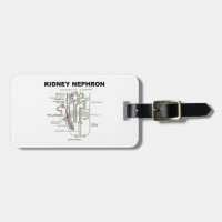 Kidney Nephron (Gray's Anatomy Textbook) Tags For Bags