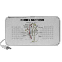 Kidney Nephron (Gray's Anatomy Textbook) Travel Speakers