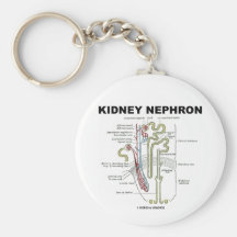 Kidney Nephron Key Chain
