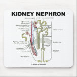 Kidney Nephron Mouse Pads