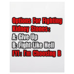 Kidney Stone Fighting Options Letterhead Design