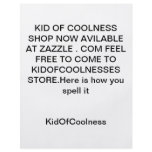 kidofcoolness flyers