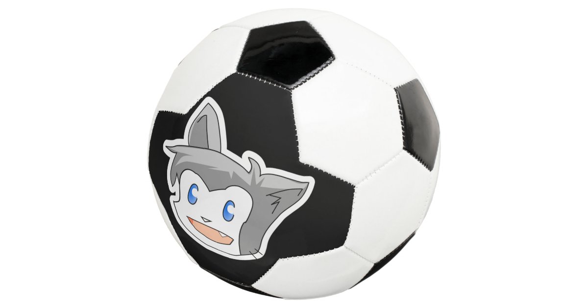 cat soccer ball