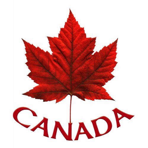 Kid's Canada T-shirt Kid's Canada Souvenir Shirt shirt