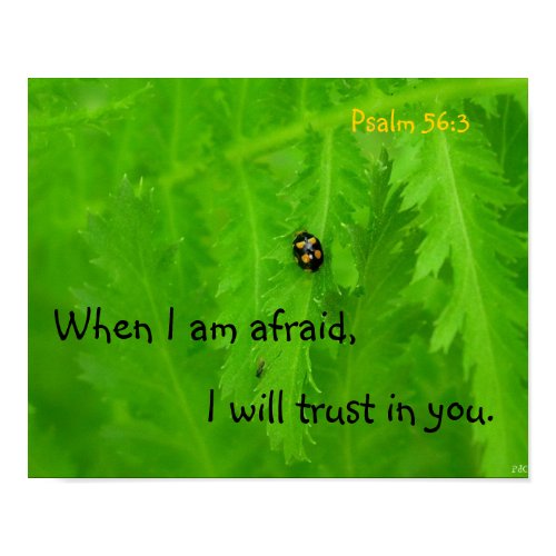 Kids Christian Poster print