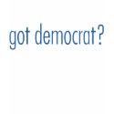 Kids Democrat T-shirt (availalbe for adults too) by ElectionZone Kids Democrat T-shirt (availalbe for adults too)