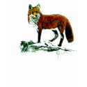 Kids Fox RInger T shirt