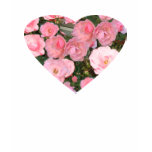 Kids Heart full of Roses Tshirt Kids Heart full of Roses Tshirt