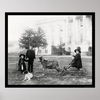 http://rlv.zcache.com/kids_on_a_goat_cart_at_the_white_house_1890_poster-p228263174323087702qzz0_400.jpg