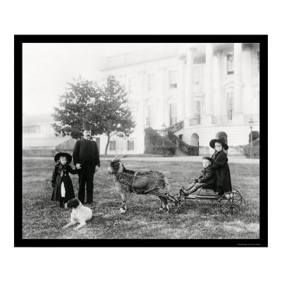 http://rlv.zcache.com/kids_on_a_goat_cart_at_the_white_house_1890_poster-p228263174323087702qzz0_400.jpg