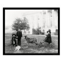 Kids on a Goat Cart at the White House 1890 posters