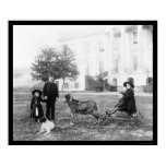 Kids on a Goat Cart at the White House 1890 posters