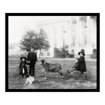 Kids on a Goat Cart at the White House 1890 posters