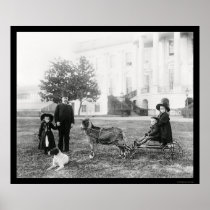 Kids on a Goat Cart at the White House 1890 Posters
