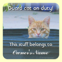 Kid's Personalized Sticker--Guard Cat on Duty stickers