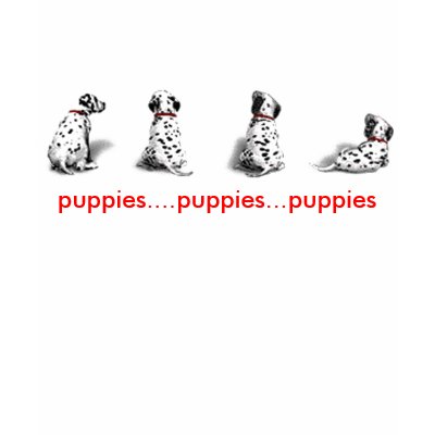 Kids, Puppies..Puppies..Puppies Shirts by chysshirts