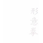 Kids xingyi shirt Kids xingyi shirt
