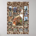 Kid's Zoo Photo Print