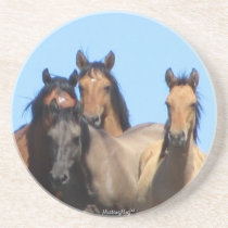 Kiger Coasters coasters