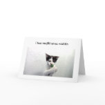 Kiko lolcat holiday card - poof!